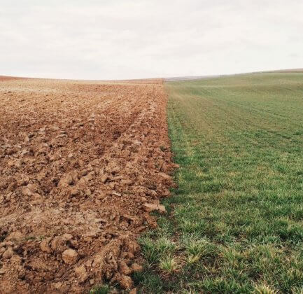 A field divided in the middle, on one side green lush, on the other brown dirt