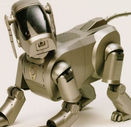 AI dog