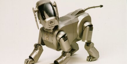 AI dog
