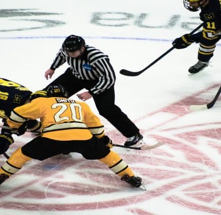 fighting in NHL hockey games