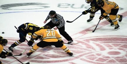 fighting in NHL hockey games