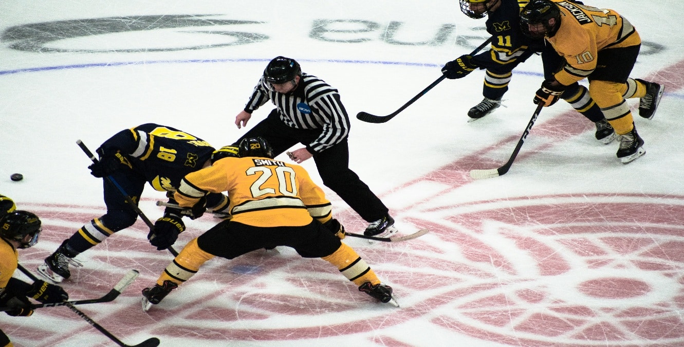 fighting in NHL hockey games