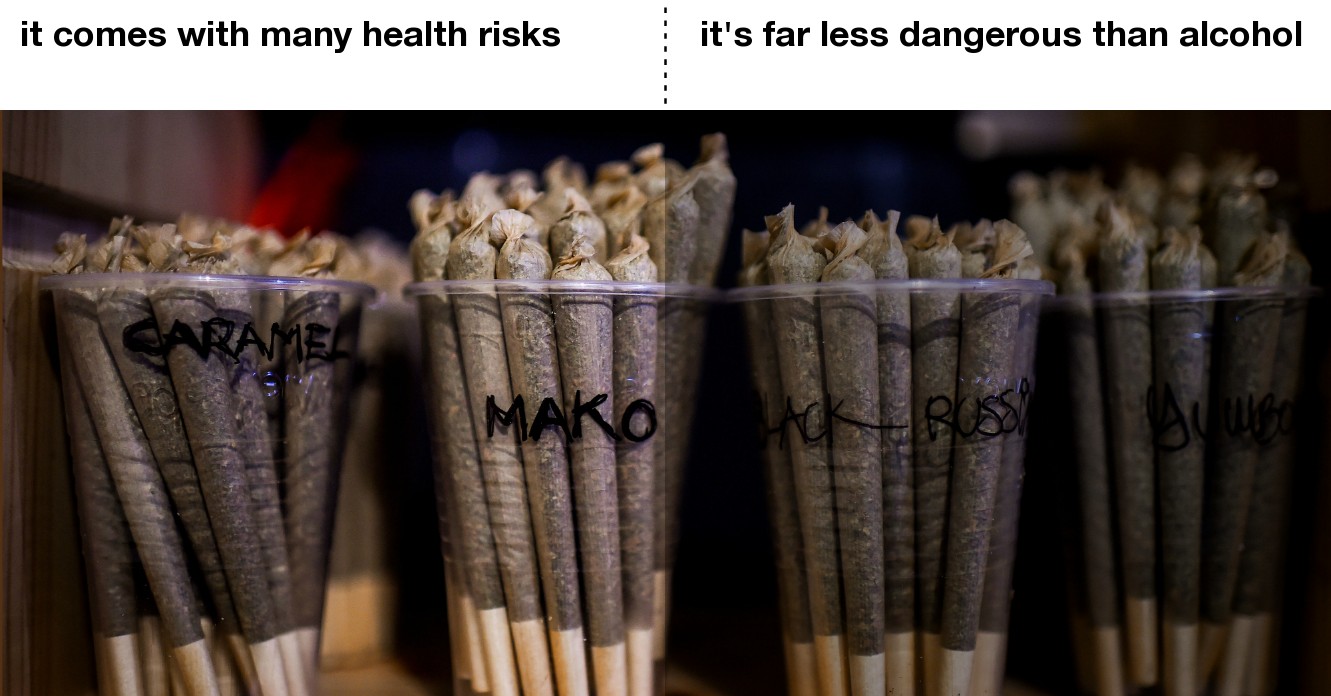 Is Smoking Weed Harmful? The Perspective